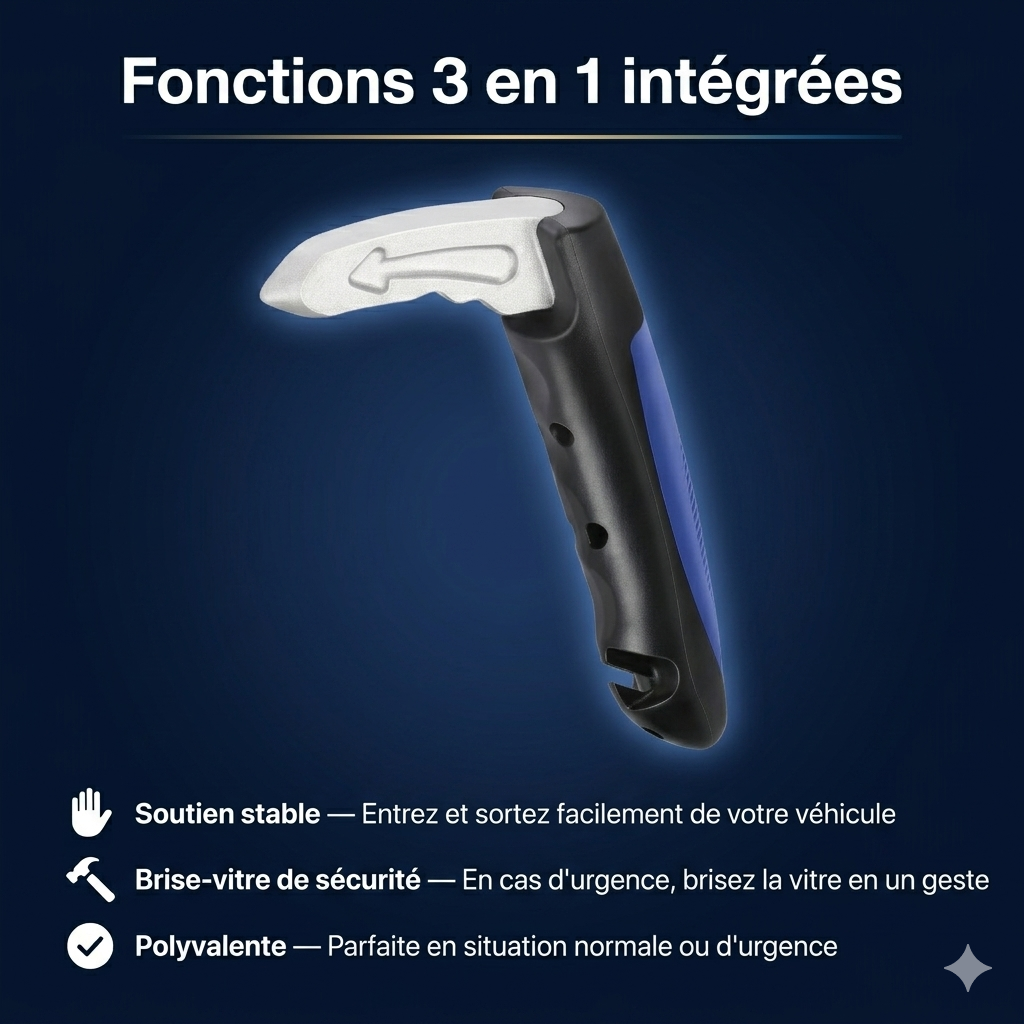 Structure en alliage renforcé de la poignée d'assistance voiture Astuvita